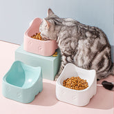Ceramic Bowl for Cats