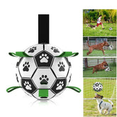 Dog Soccer Toys