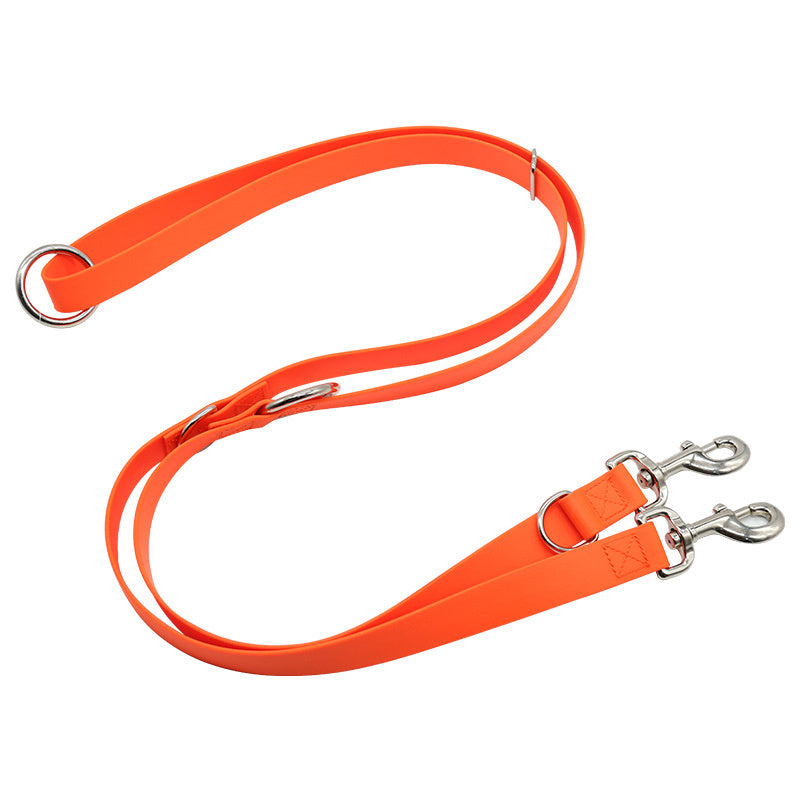 Dog Leash