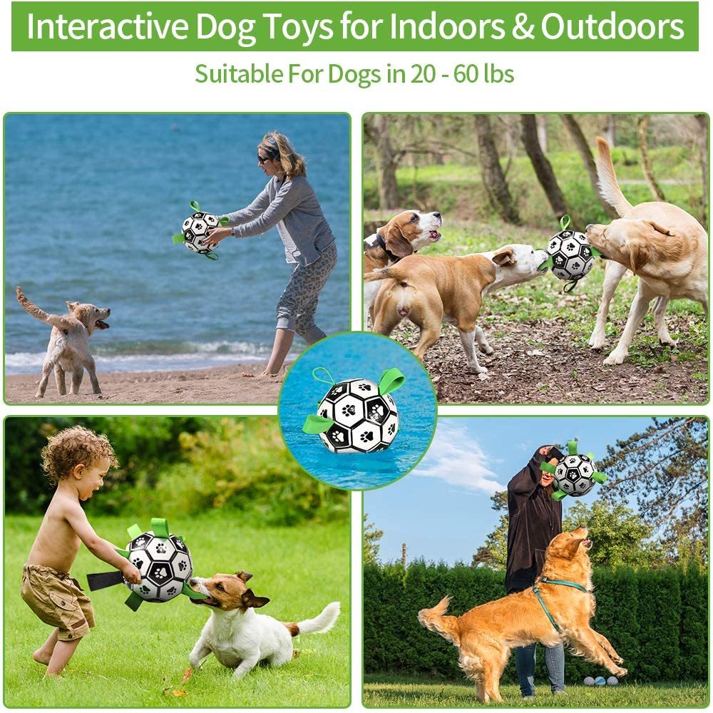 Dog Soccer Toys