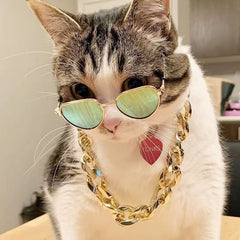 Stylish Pet Necklace