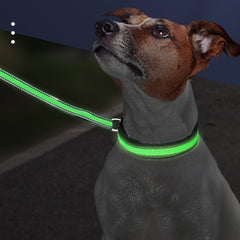 LED Nylon Mesh Pet Collar