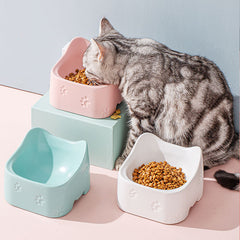 Ceramic Bowl for Cats