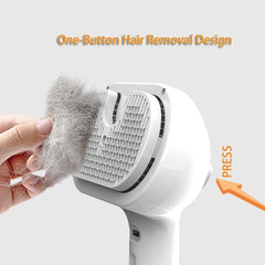 Pet Comb with Built-in Mist Humidifier