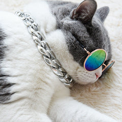 Stylish Pet Necklace