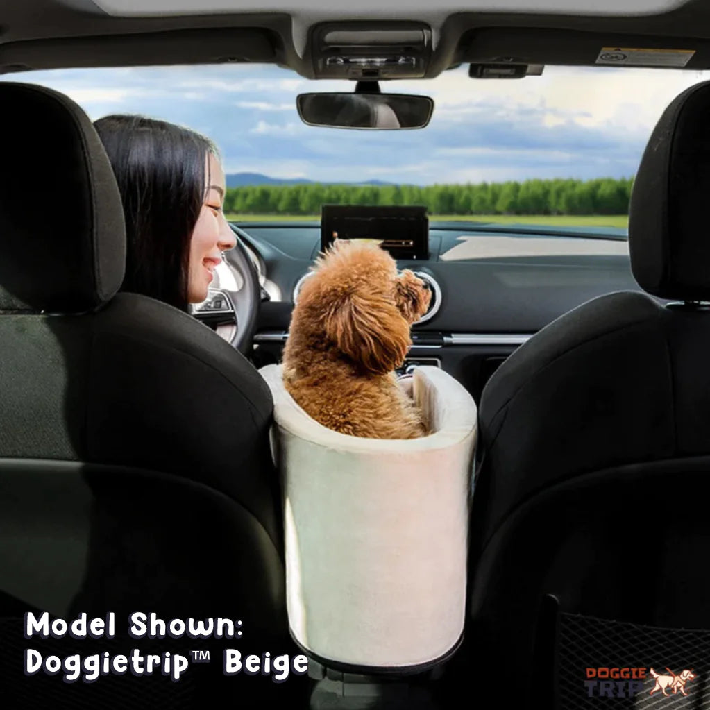 Small Pets Car Seat